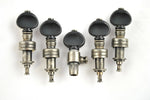 5 String Set of Gotoh Tuners